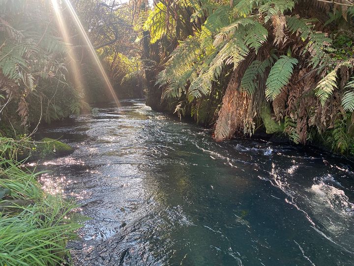 A river in Aoteoroa New Zealand