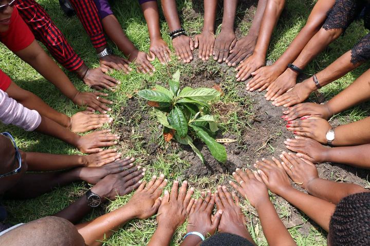 A seedling in the ground is surrounded by a circle of hands.