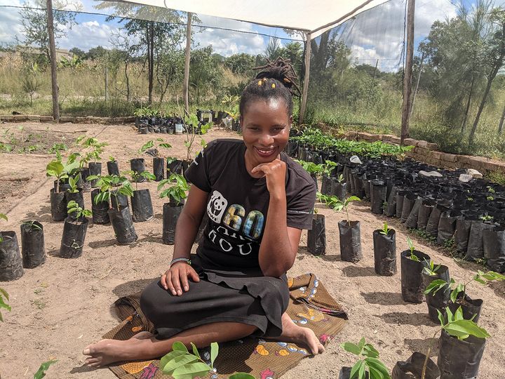 Shamiso Mupara is sitting cross-legged on the ground inside a large tent, with potted seedlings around her.