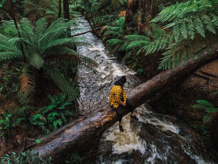 A man wearing a bright yellow plaid shirt sits on a log over a river and looks behind him toward the forest.