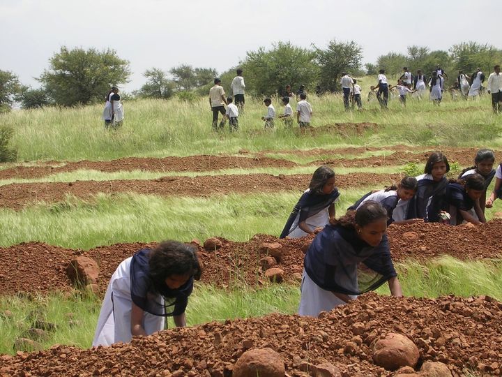 Indian schoolchildren plants seeds among tall grasses in the village of Lamkani in India.