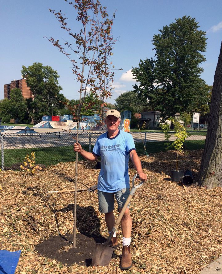 A man in shorts and a T-shirt holding a newly planted tree with one hand and a shovel with the other.