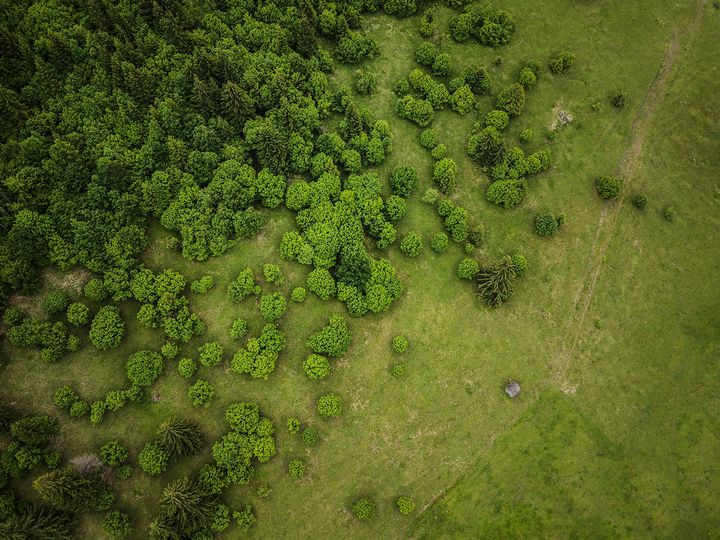 Looking down at a landscape. The top-left half of the image is dense in trees; the bottom right is grass