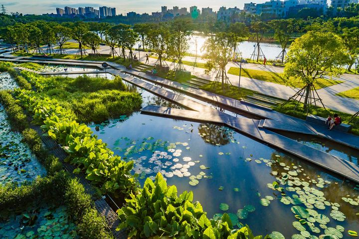 Ponds, pathways and greenery with a cityscape in the background