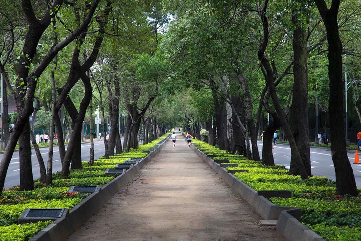 Looking straight at a dirt pathway with trees on either side, in the middle of two sides of a road.