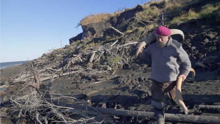 A man in a red beret carrying mammoth tusks on a muddy, debris-covered beach