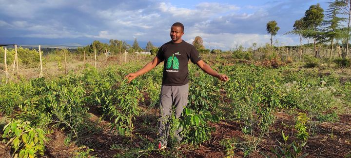 A person stands outdoors in the middle of numerous tree seedlings planted in the ground