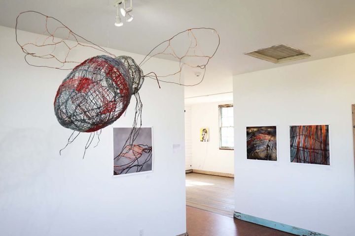 In a gallery, a large bee sculpture hangs from the ceiling in front of white walls with photographs