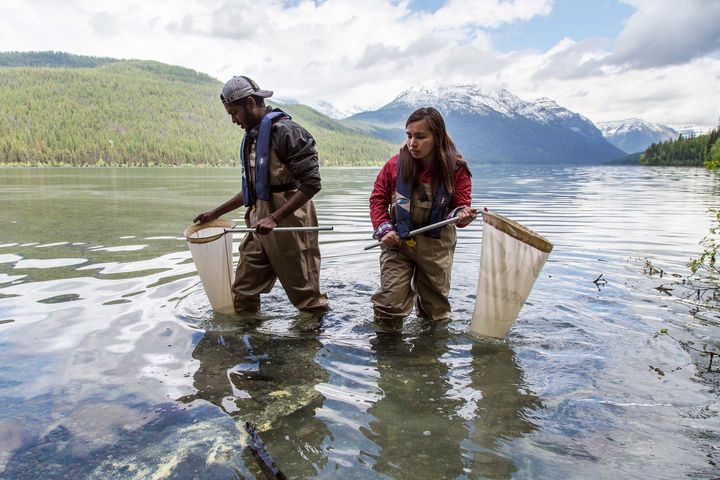 Two people standing in a lake in hip waders, holding nets, with mountains in the background