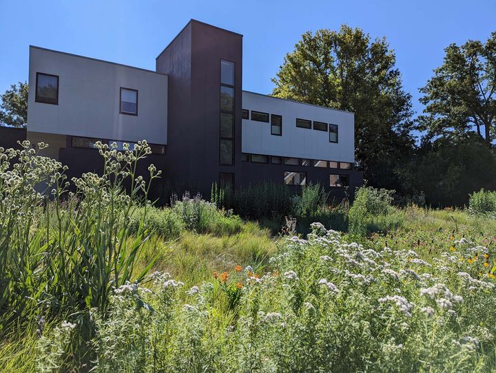 A modern house surrounded by a mixture of native plants