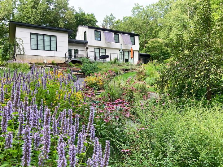 A house with a front yard filled with flowering plants and trees