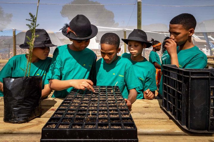 Five children standing at a table outdoors looking at a plastic tray of seeds and seedlings