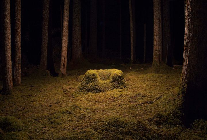 A moss-covered armchair in a moss-covered clearing in a forest, photographed at night while lit up