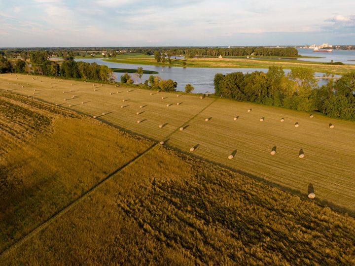 Aerial view of golden fields, some with hay bales scattered across, and water beyond.
