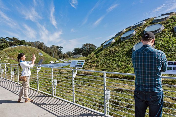 Two people on a walkway next to a plant-covered artificial hill with round windows.