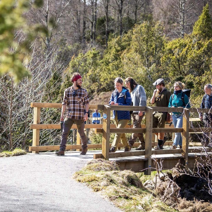 A group of people on a guided walk across a wooden bridge in a forested area