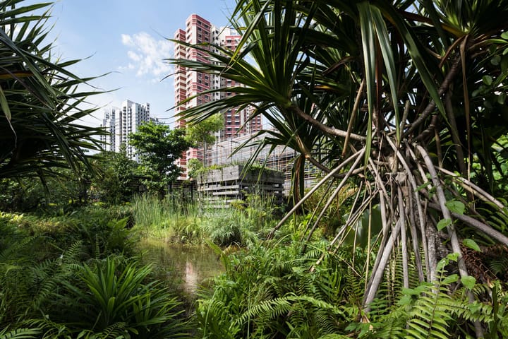 A skyscraper visible behind a lush green landscape