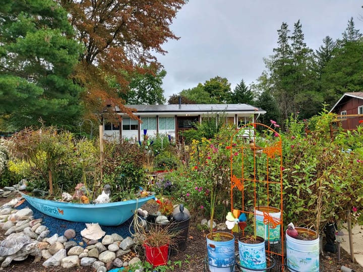 A house surrounded by trees whose front yard is a colourful lush garden