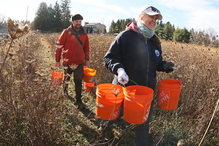 Restoring lost grasslands is as important as planting trees