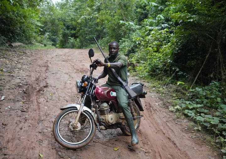 A person on a motorbike on a red dirt road surrounded by forest